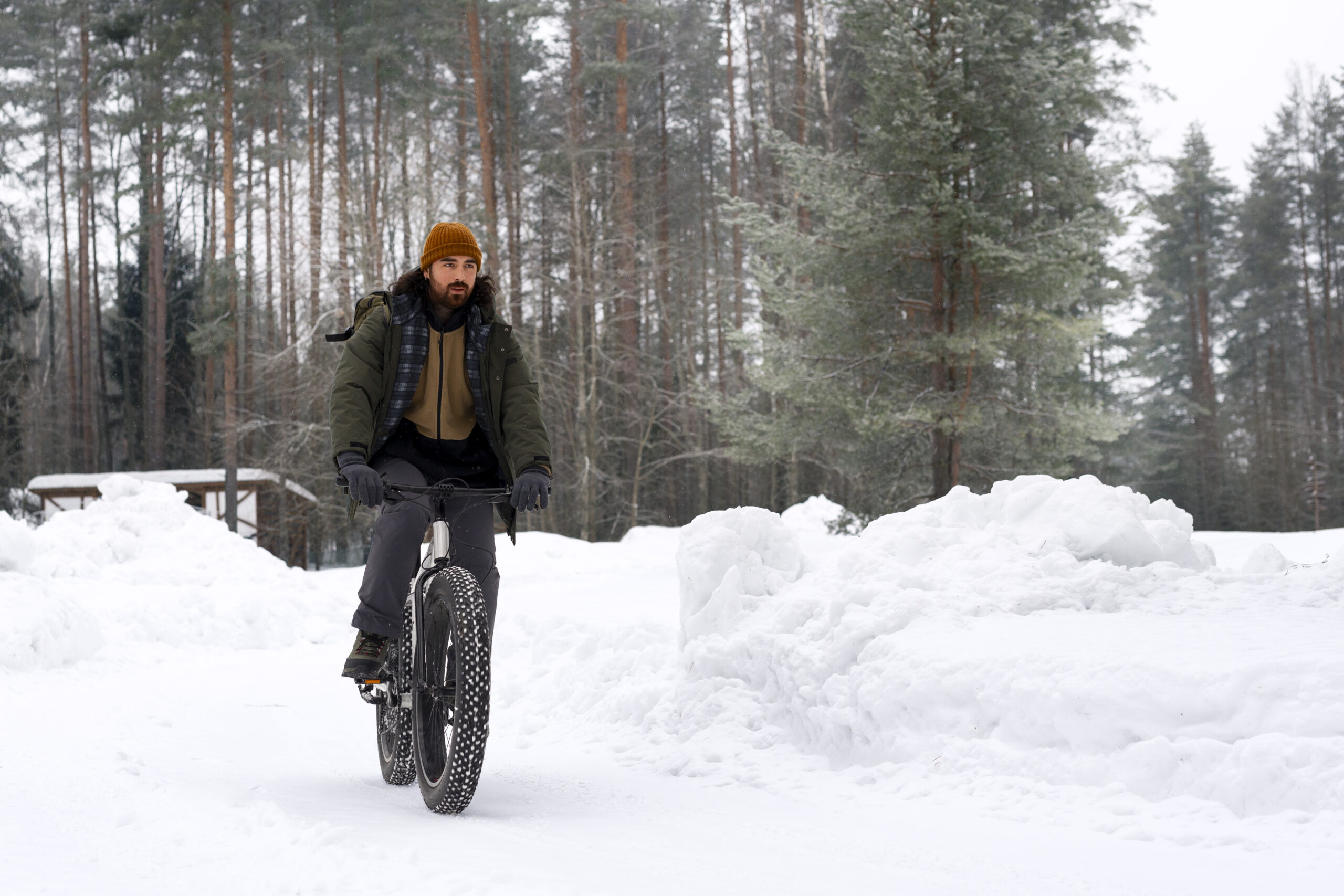 Fat Tire Bike